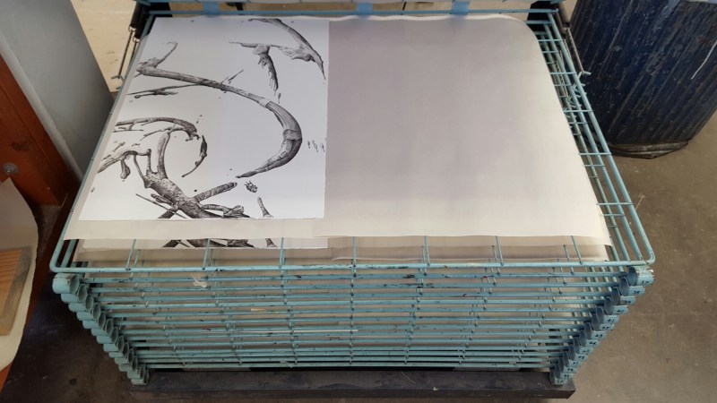 20160421_140926.jpg image