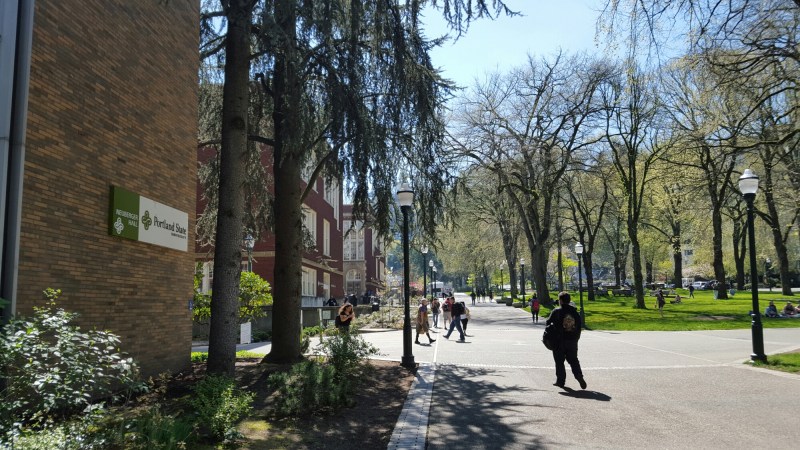 wp-1459866374185 image