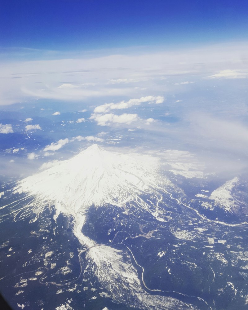 wp-1459866840080 image